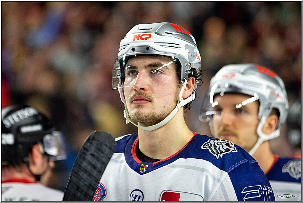 PENNY DEL; Koelner Haie- Nuernberger Ice Tigers; Koeln, 18.11.2022